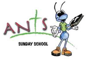 ants-300x208